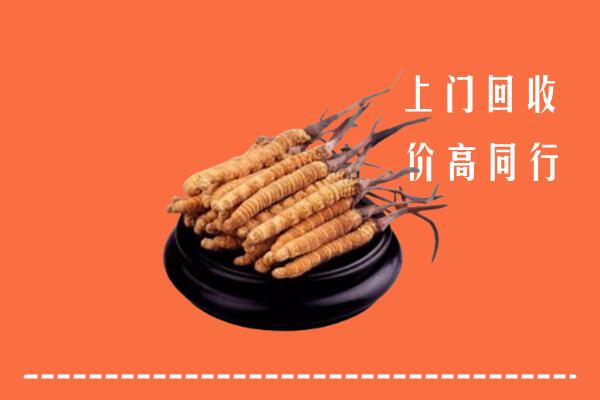 高价求购：什邡回收散虫草