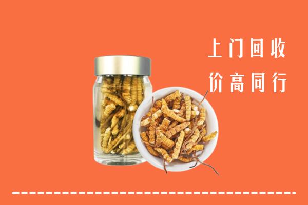 什邡回收冬虫夏草